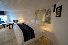 Chateau Villa
