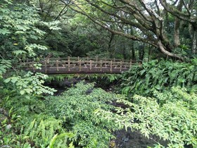Satoyama Ecology And Art Culture Park