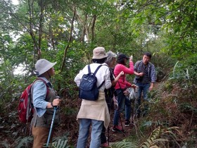 Satoyama Ecology And Art Culture Park