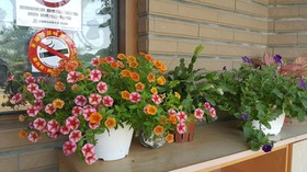 Tender Yard Wellshop