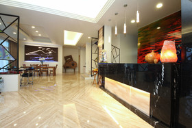 Traditional Arts Villa