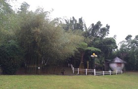 Bamboo Paradise Resort & The Bamboo Inn