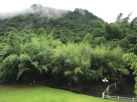 Bamboo Paradise Resort & The Bamboo Inn