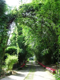 Bamboo Paradise Resort & The Bamboo Inn
