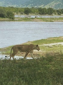 Tembe Home