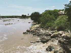 Tembe Home