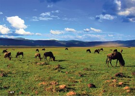 Kilemakyaro Mountain Lodge