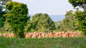 Kili-konka