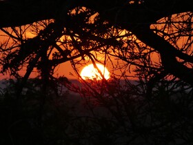 Wami River Bush Retreat - Kisampa