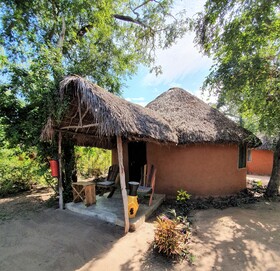 Africa Safari Selous