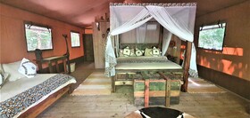 Africa Safari Selous
