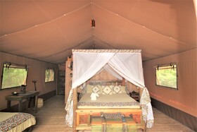 Africa Safari Selous