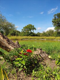 Africa Safari Selous