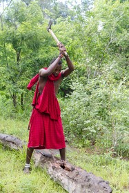 Africa Safari Selous