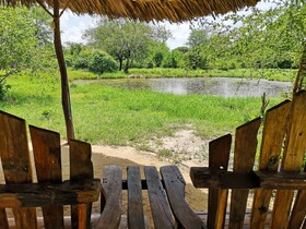 Africa Safari Selous