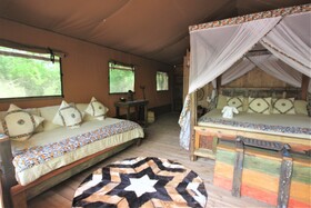Africa Safari Selous