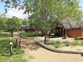 Africa Safari Selous