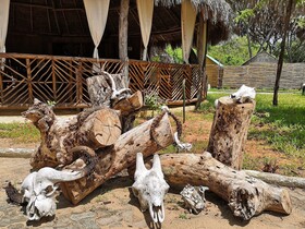 Africa Safari Selous