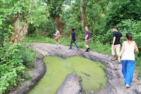 Africa Safari Selous