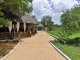 Africa Safari Selous