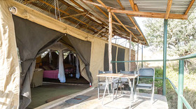 Serengeti Ikoma Wild Camp