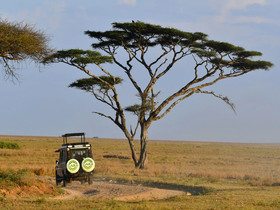 Serengeti Ikoma Wild Camp