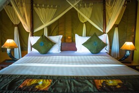 Serengeti Simba Lodge