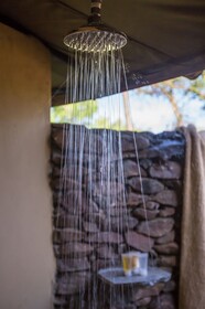 Serengeti Simba Lodge