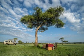 Serengeti Simba Lodge