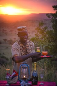 Serengeti Simba Lodge