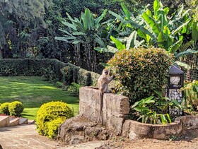 Mvuli Hotel