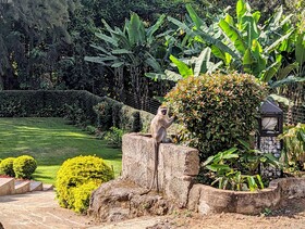 Mvuli Hotel
