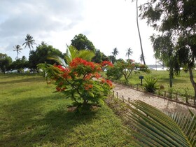 Mafia Island Lodge