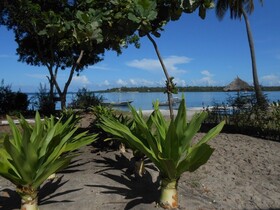 Mafia Island Lodge