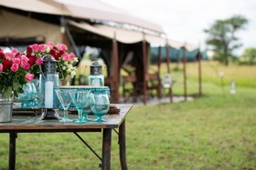 Pumzika Luxury Safari Camp