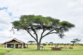 Pumzika Luxury Safari Camp