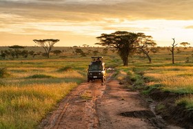 Pumzika Luxury Safari Camp