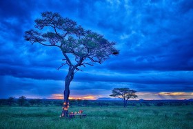 Pumzika Luxury Safari Camp