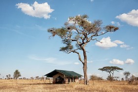 Pumzika Luxury Safari Camp