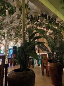 Residence Gadea Zanzibar