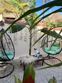 Residence Gadea Zanzibar