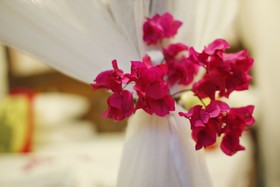 Aya Beach Bungalows