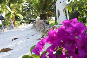 Aya Beach Bungalows