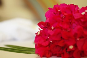 Aya Beach Bungalows