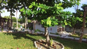 Aya Beach Bungalows