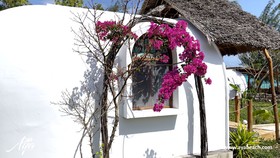 Aya Beach Bungalows