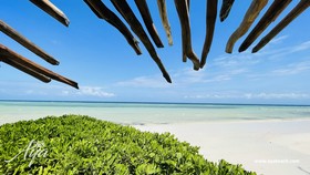 Aya Beach Bungalows