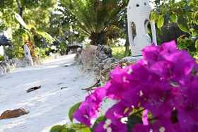 Aya Beach Bungalows
