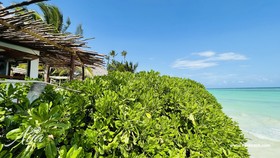 Aya Beach Bungalows