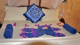 Nest Style Beach Zanzibar